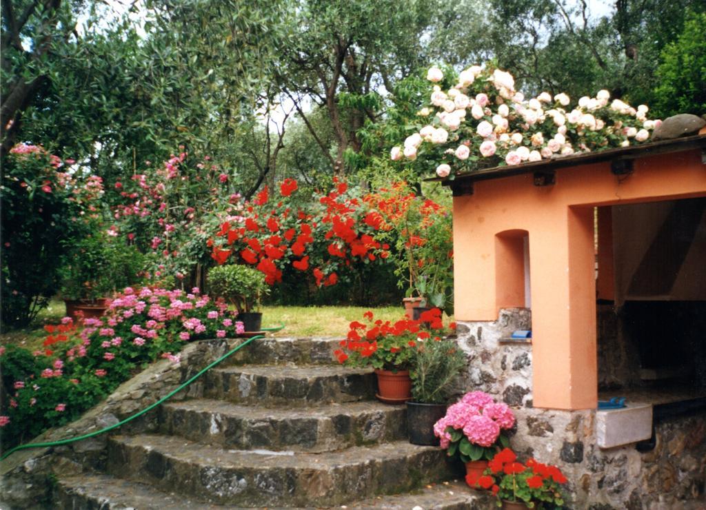 L' Amandola Villa Levanto Exterior photo